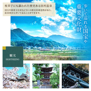 宿泊券 別所温泉 3000円 ギフト券 券 チケット クーポン 宿泊券