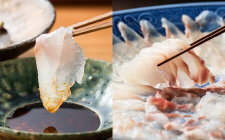 【配達日時指定必須】幻の 高級魚 を北九州の海から新鮮にお届け！ クエ刺 ・ 鍋 セット （30cm）