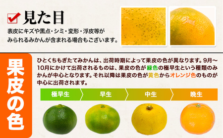 訳あり みかん ひとくちもぎたてみかん 約7kg