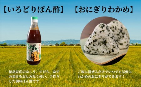 海の幸 セット 7種 ちりめん 干し エビ 塩蔵 わかめ 佃煮 しらす 山椒 ぽん酢 冷蔵 