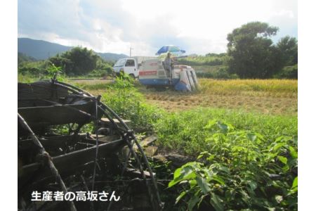 お米 白米 コシヒカリ 5kg 国産 徳島県 たんぼ米 