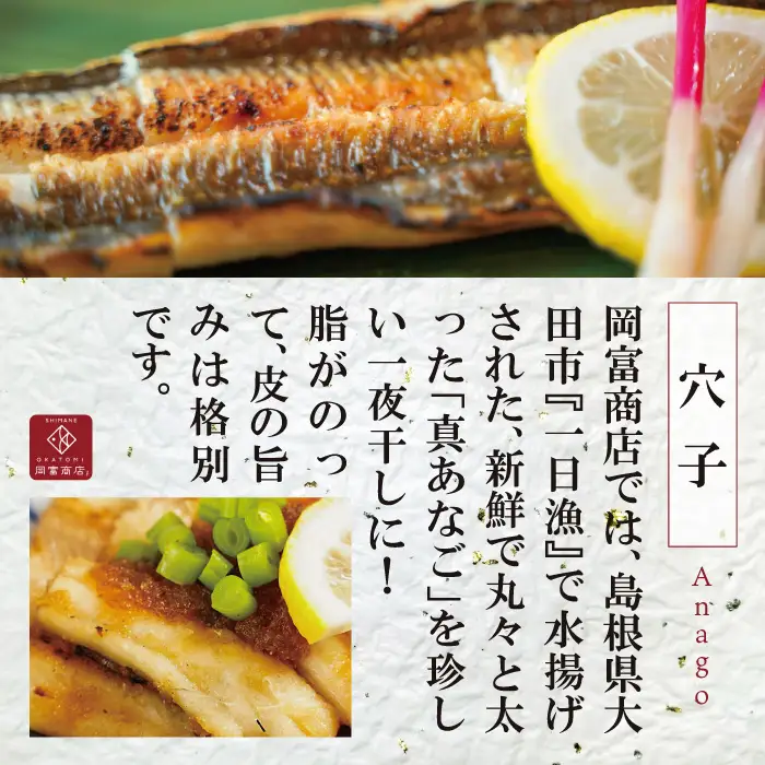 大ぶり「のどぐろ一夜干し」＆特大「穴子一夜干し」【干物セット のどぐろ干物 176～200g×3尾 穴子干物 50cm前後×3尾 のどぐろ ノドグロ 穴子 あなご アナゴ 干物 ひもの 無添加 真空パック 父の日 母の日】