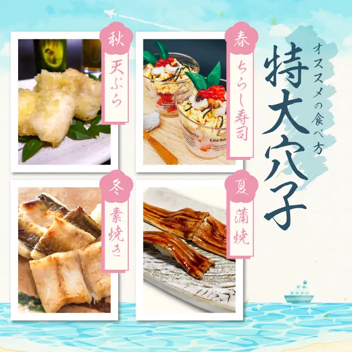 【2ヶ月定期便】特大 穴子 一夜干し 3尾×2回 計6尾【定期便 50cm前後 3尾 2回 合計6尾 穴子干物 島根県産 大田市産 あなご 干物 特大サイズ 無添加 天日塩 冷凍 真空パック】