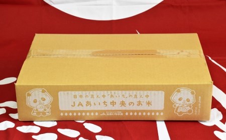 愛知県産　あいちのかおり10kg　H017-099