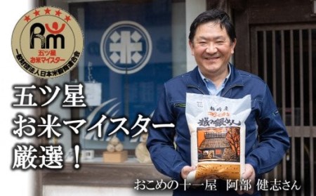 令和7年産米【五ツ星お米マイスター厳選】コシヒカリ 白米 10kg（5kg×2袋）[Y0562]