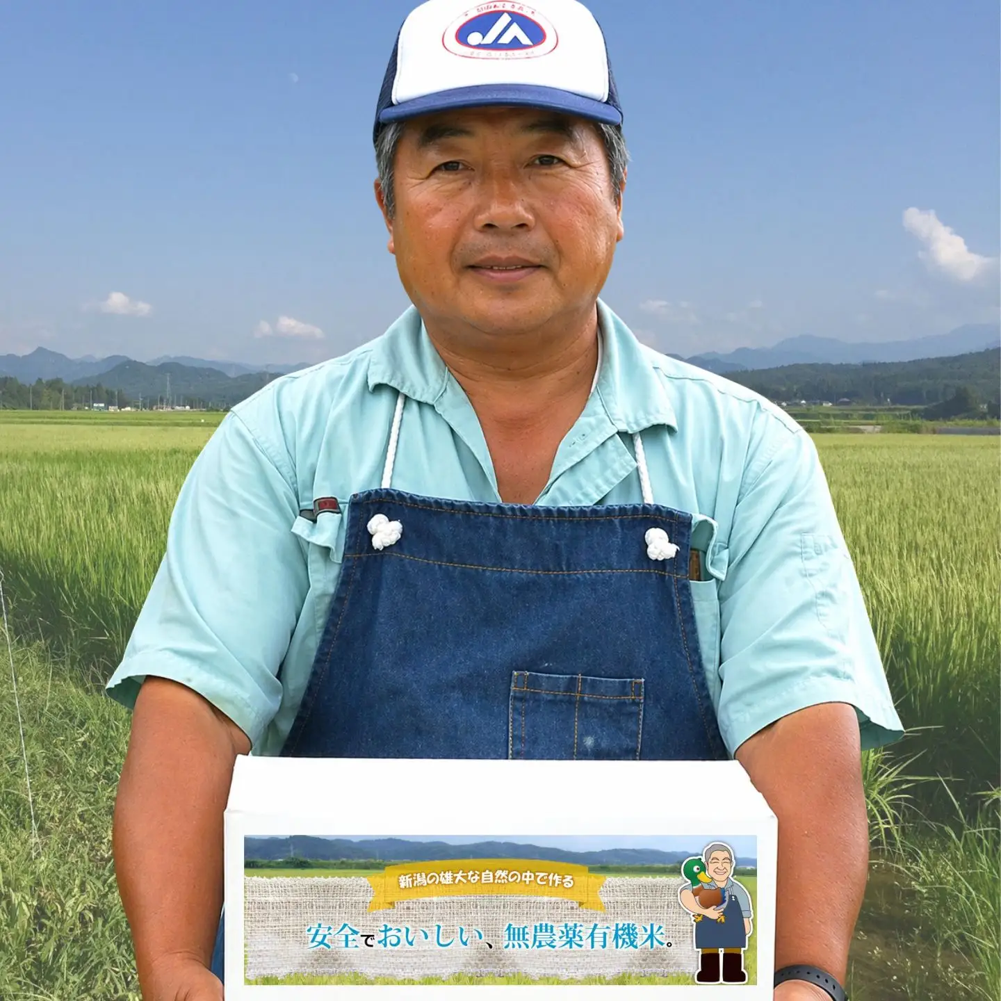 先行予約 特別栽培米 新之助 10kg 白米 新潟県三条市産 しんのすけ 令和8年 [佐藤農産有機センター]【018P072】
