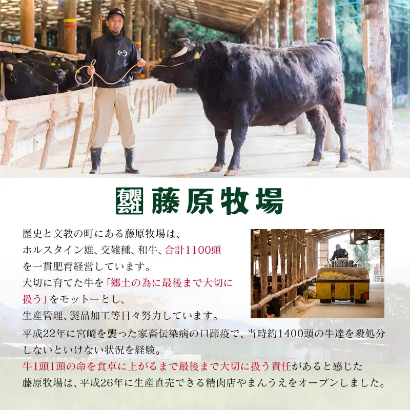 ＜宮崎ハーブ牛＞ ロースステーキ 計400g（200g×2枚）国産 牛肉【C382】