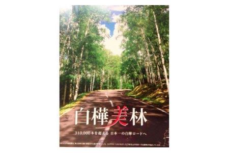 白樺樹液と肌 オールインワンジェルと石鹸