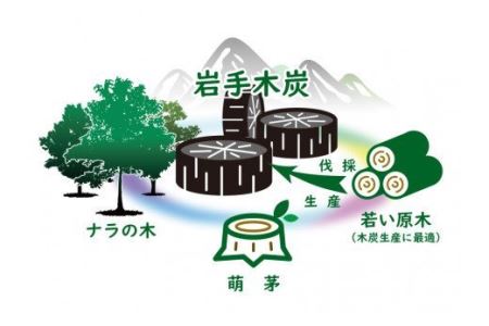 【火つき・火力・火持ちよしの国産高級木炭】岩手切炭（ＧＩ）3ｋｇ　なら堅一級