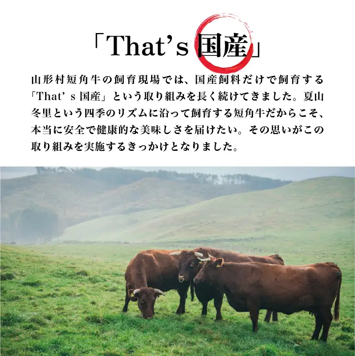★７日以内発送★ 山形村短角牛4種 750gセット｜焼肉 牛肉
