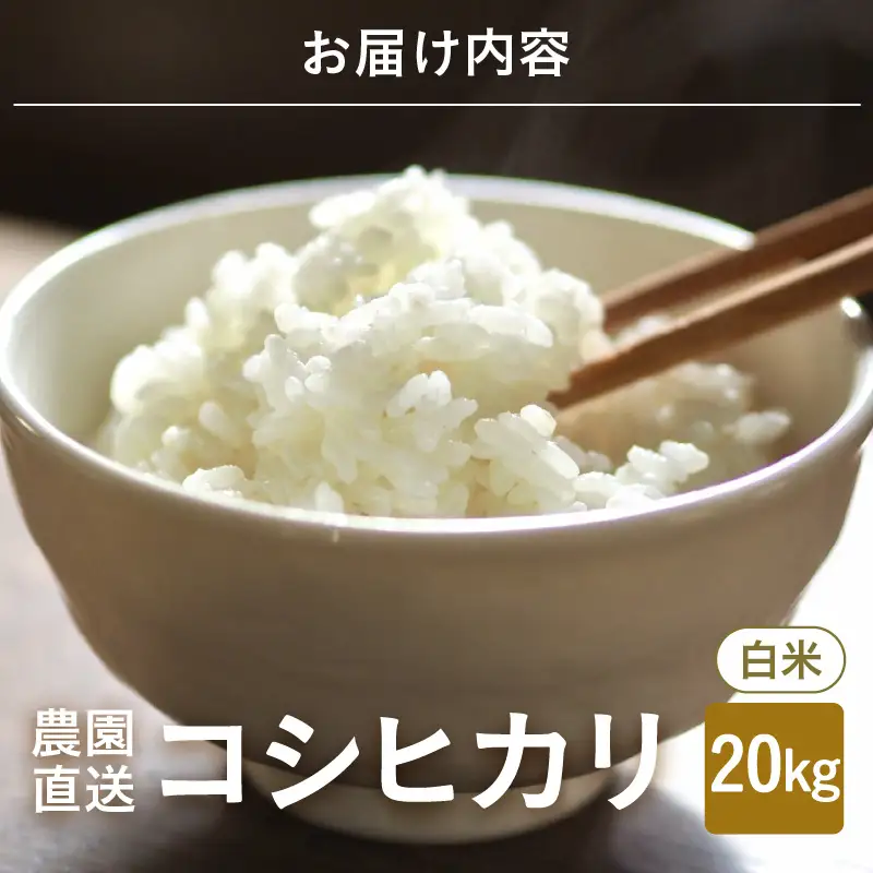 【先行予約】【令和8年産・新米】【白米10kg×2袋】福井県産 コシヒカリ20kg 【2026年10月上旬以降順次発送】 [D-8915_01]