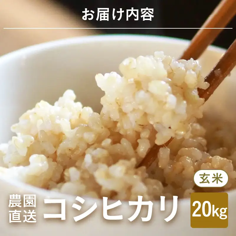 【先行予約】【令和8年産・新米】【玄米10kg×2袋】福井県産 コシヒカリ20kg 【2026年10月上旬以降順次発送】 [D-8915_02]