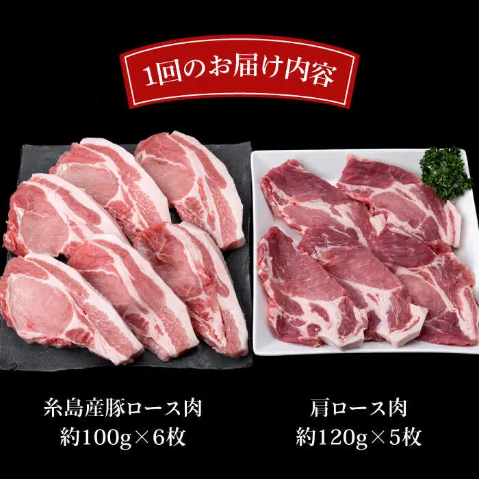 【全12回定期便】糸島豚ロース肉6枚 肩ロースカツ5枚 合計11枚セット 糸島市/糸島ミートデリ工房[ACA231]