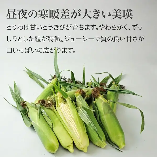 【令和9年産 先行予約】 とうもろこし （白・黄）各6本 セット とうもろこし 美瑛選果