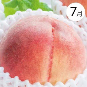 【４か月定期便】和歌山産そだちの野菜とフルーツ定期便♪（八朔・トマト・すいか・桃）【tkb135】