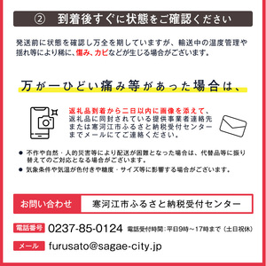 令和8年産 アールスメロン 2玉セット 秀品 Lサイズ （計3.5kg） 山形県産 【2026年9月中旬頃から10月下旬頃発送予定】　015-B-JA020