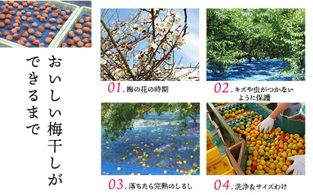 【贈答用】紀州南高梅　こんぶ風味梅干　400g　化粧箱入 | ギフト プレゼント 国産 ※北海道・沖縄・離島への配送不可