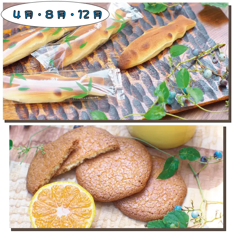 定期便 【新宮市】スイーツセット　4回 / ケーキ マイヤーレモン レモン 焼菓子 和菓子 サブレ まんじゅう 饅頭 ミルク みかん ご当地【tkb137】
