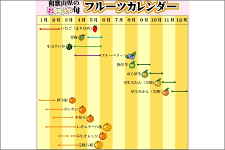 みかんこい梅 100g×5個【0920-3】
