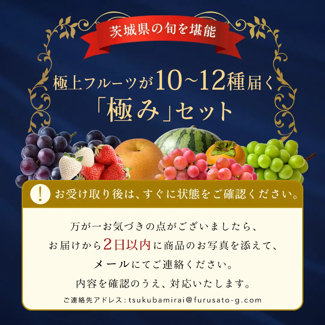 【特選・桐箱2段】極上フルーツ10～12種「極み」セット（茨城県共通返礼品）  旬の果物 ギフト