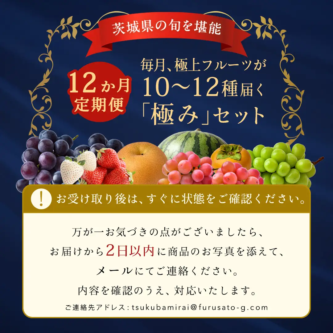 【定期便】 毎月1回1年コース(計12回)【特選・桐箱2段】極上フルーツ10～12種「極み」セット（茨城県共通返礼品）  旬の果物 ギフト
