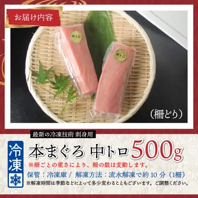 【刺身用】本マグロ　中トロ　500g（柵どり）【最新の冷凍技術】　海鮮 魚
