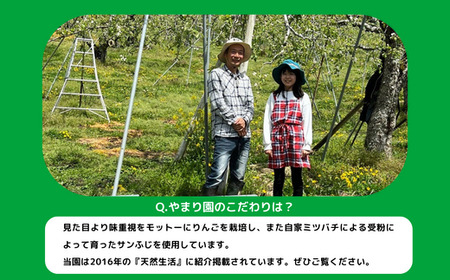 りんごジュース さみず 1000ml × 6本 果汁100% サンふじ やまり園 沖縄県への配送不可 飲料 果汁飲料 りんご リンゴ 林檎 ストレートジュース 信州 長野県 飯綱町 三水 [0390]