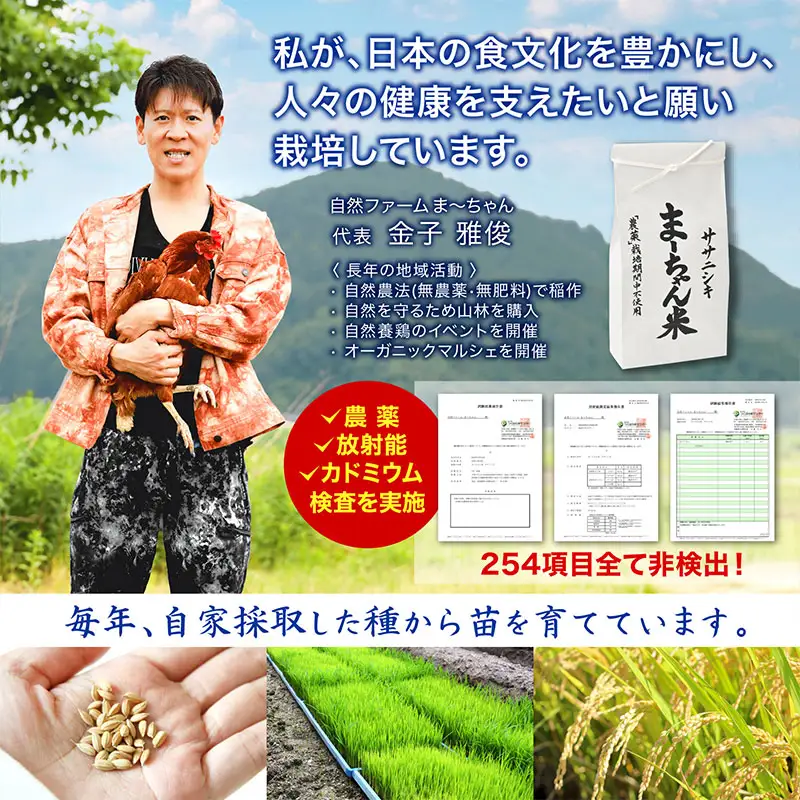 先行予約 ササニシキ 白米 9kg 令和8年 無農薬 新潟県産 ササニシキ