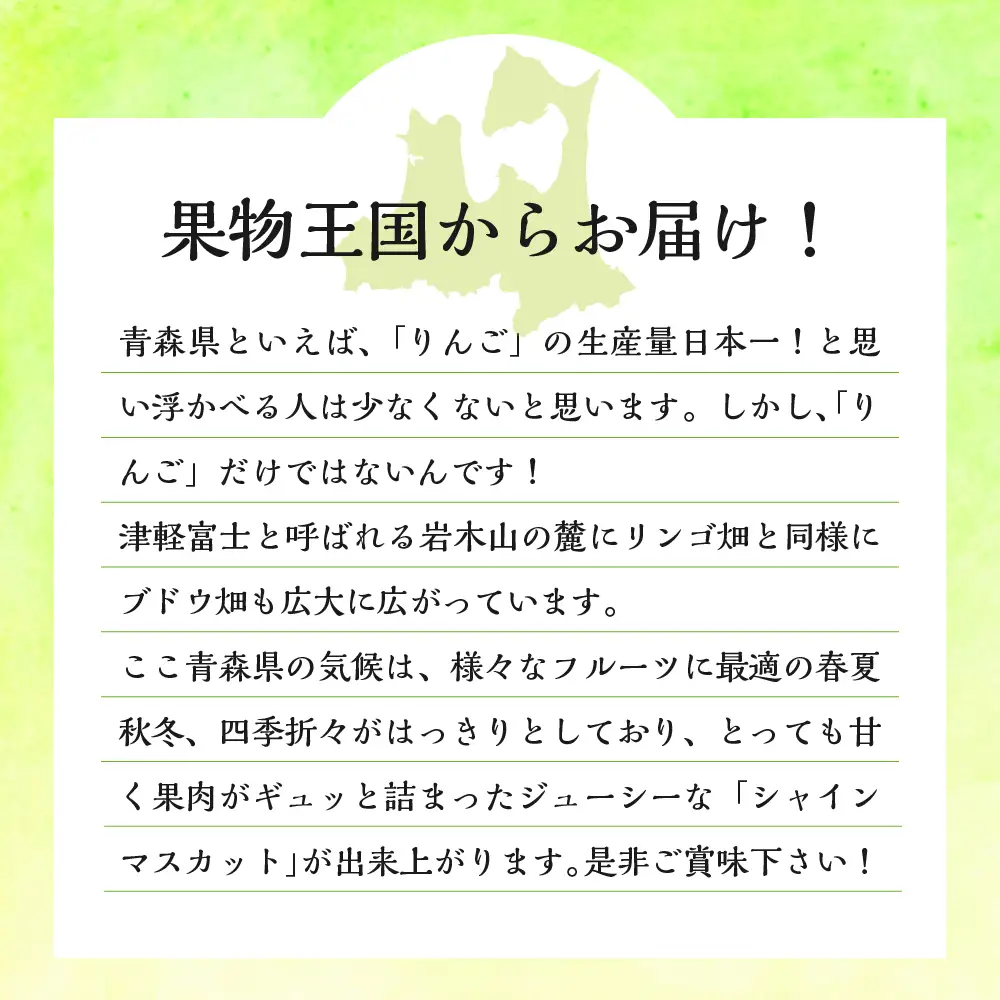 【2026年11月上旬発送】 【訳あり】 シャインマスカット 1.2kg 家庭用 青森