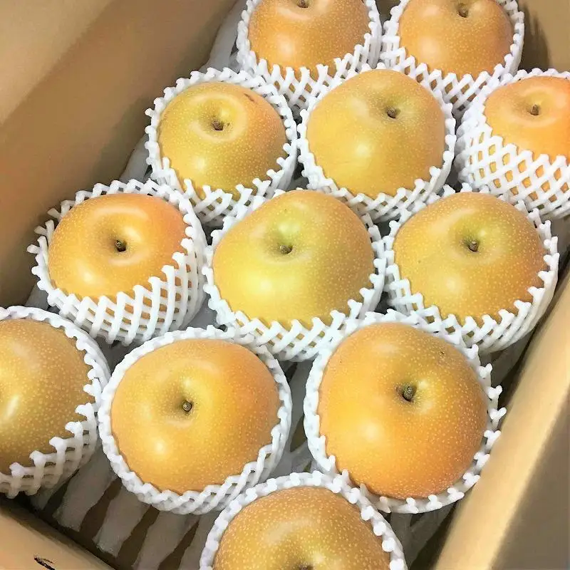 【2026年8月下旬以降より発送】旬の梨おまかせ約5kg・6-14玉（自家製有機肥料・減農薬・化学肥料無使用）