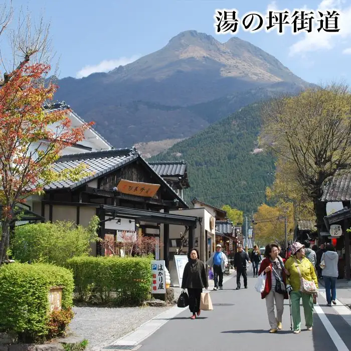 【湯布院、由布院、湯平、塚原高原】JTBふるさと旅行券（900,000円分）有効期間5年 | 予約 宿泊 観光 体験 温泉 ホテル 旅館 チケット 子供 子連れ カップル 家族 店頭 電話 由布市