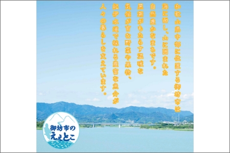紀州産かりかり南高梅 90g×10個＝900g【0949-3】