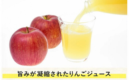 [1431]信州 飯綱町産　りんごジュース　1000mL×3本　果汁100％　※沖縄および離島への配送不可　カネツ農園　エコファーマー認定　長野県飯綱町