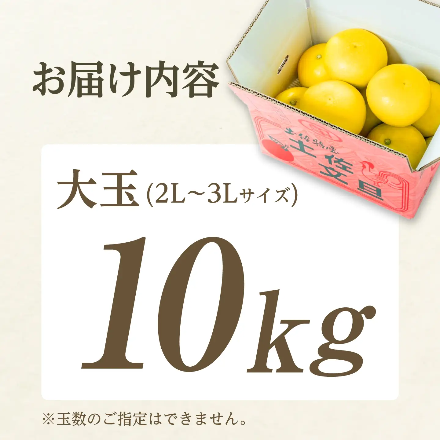 先行予約】土佐文旦 大玉 10kg（3L-2L）文旦[BQAC003] | 高知県土佐市