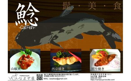 なまずづくし 6種セット｜なまず ナマズ 魚 魚類 煮魚 おかず セット 安心 茨城県 行方市(AJ-1)
