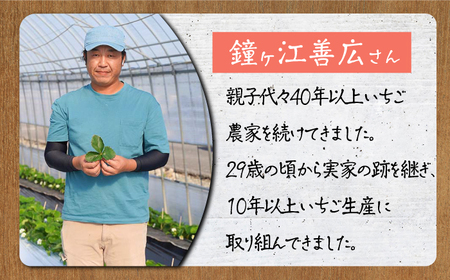 【先行予約 2027年1月～発送】食べ比べ！恋みのり＆さがほのか 各220g  いちご