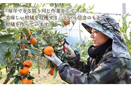 果汁100％ジュース 清見 720ml×3本＜山口柑橘園＞ [EBC003]