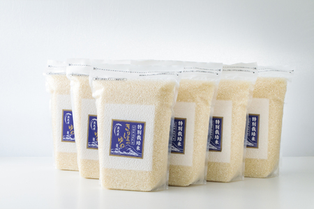 「令和6年産」【新米】 霧島湧水が育む「きりしまのゆめ」ヒノヒカリ(無洗米)12kg 減農薬栽培のお米 TF0306-P00026