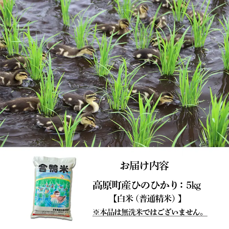 《令和8年産》「農薬、化学肥料不使用」 合鴨米ひのひかり5kg [ワンストップオンライン] TF0423-P00029