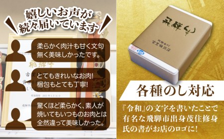 飛騨市推奨特産品 山勇畜産一貫生産飛騨牛 飛騨牛最高級5等級のもも肉、ローストビーフ用2本で計９００ｇをお届けします！[AW014]
