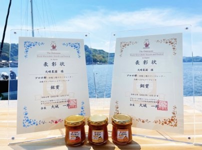 天晴みかんジュース（みかん・はるか）＆マーマレード３種セット AAN0019