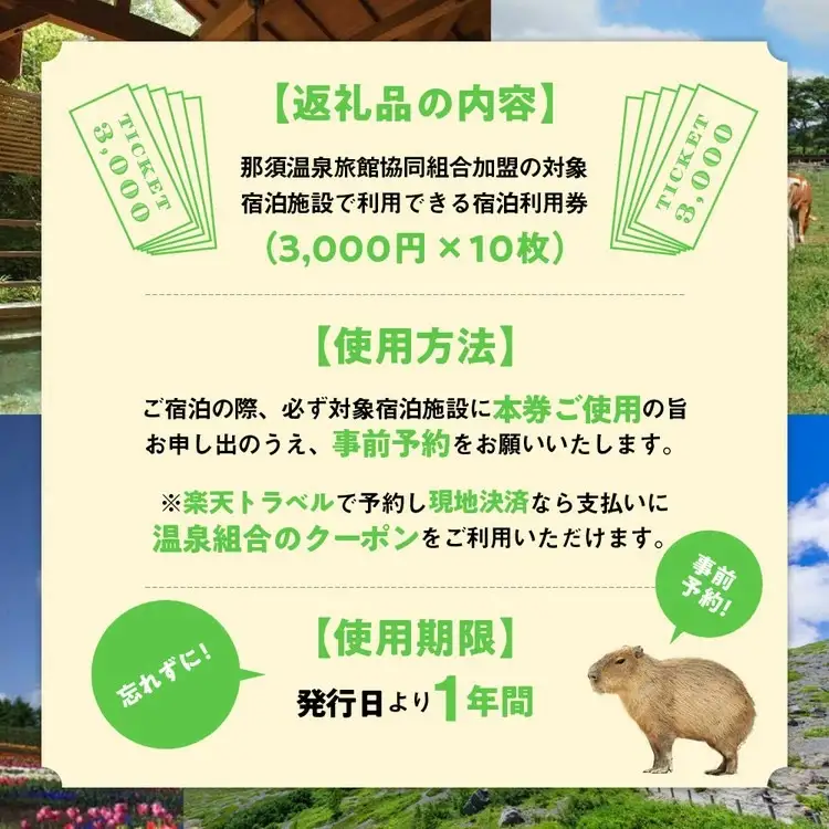 栃木県那須町で使える 共通宿泊利用券 30,000円分（3,000円×10枚）〔G-16〕｜宿泊 旅行 チケット 宿泊券 温泉 露天風呂 旅行券 ホテル 観光 国内旅行 那須 栃木県 那須町