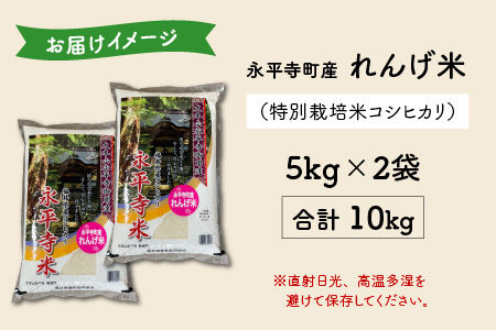 令和7年産 農薬不使用・化学肥料不使用 永平寺町産 れんげ米 10kg（5kg×2袋）[C-002029]