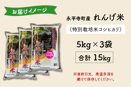 農薬不使用・化学肥料不使用 永平寺町産 れんげ米 15kg（5kg×3袋）[D-002010]