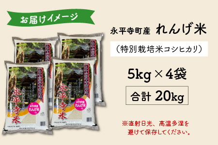 農薬不使用・化学肥料不使用 永平寺町産 れんげ米 20kg（5kg×4袋）[E-002011]