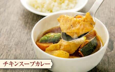 [A46] 北海道 スープカレー セット 2種類 300g×計8個