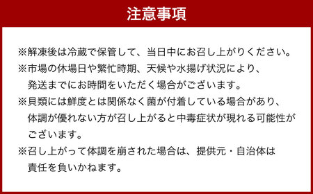 お刺身 つぶ 500g つぶ貝 【7日程度で発送】