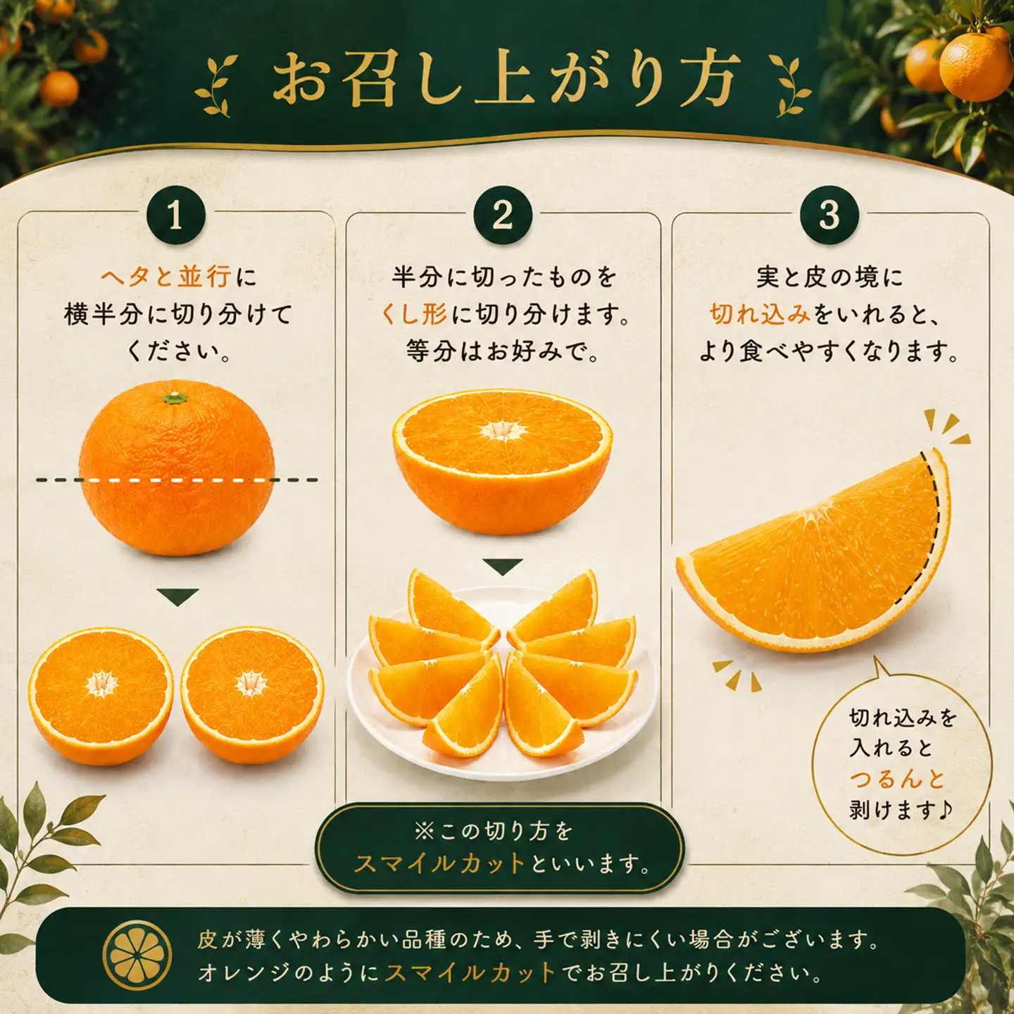 【紅まどんなと同品種】茨木農園の愛果28号_小箱（5～6個）｜まどんな