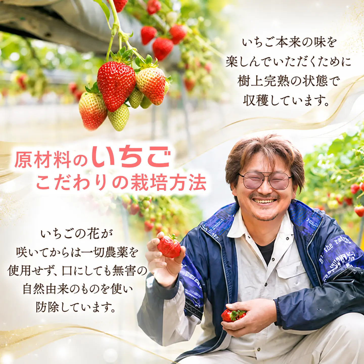 いちご農家のアイスセット（完熟いちごの豆乳アイス・シャーベット 各3個）