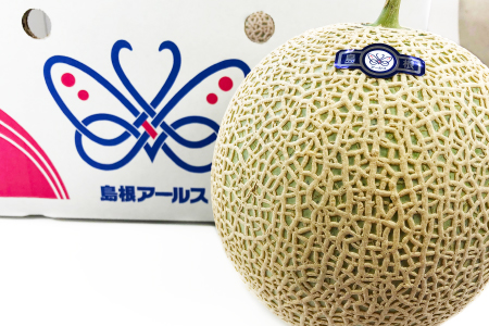 A-540 秋に食べたい！アールスメロン 2玉入り